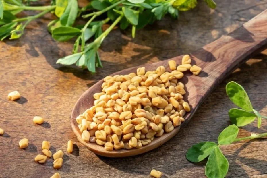 Bockhornsklöverfrön för hår: Fördelar, användning och möjliga biverkningar