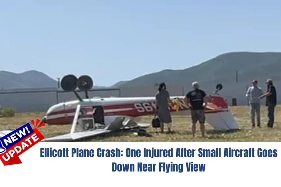 Ellicott Plane Crash: One Injured After Small Aircraft Goes Down Near Flying View