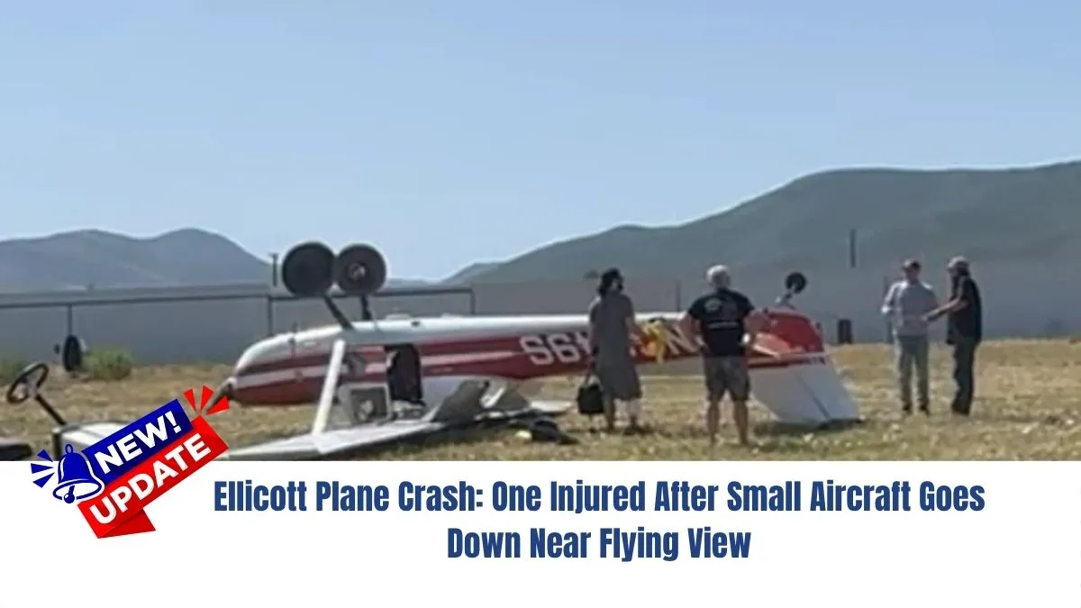 Ellicott Plane Crash: One Injured After Small Aircraft Goes Down Near Flying View